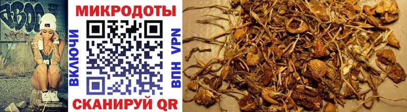 Псилоцибиновые грибы Psilocybe Белый
