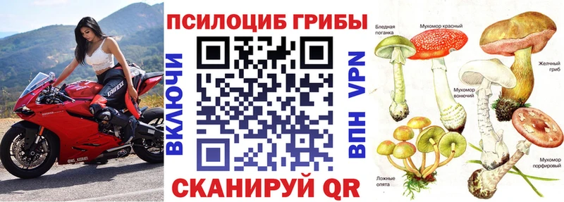 Псилоцибиновые грибы мицелий  Белый 